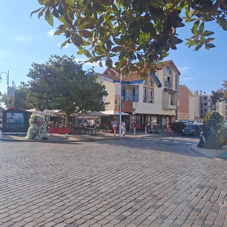 Apartment Vue Sur Le Bassin D'arcachon *